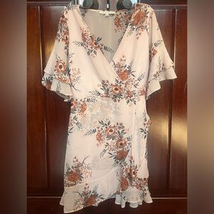 Haute Monde- Sheer Light Pink, Burnt Orange Floral Rose Dress: Size S